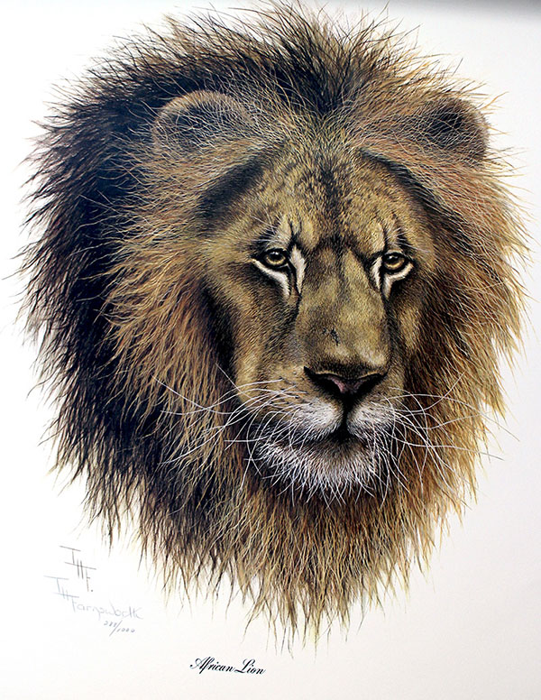 Artist T.H. Farnsworth "African Lion"