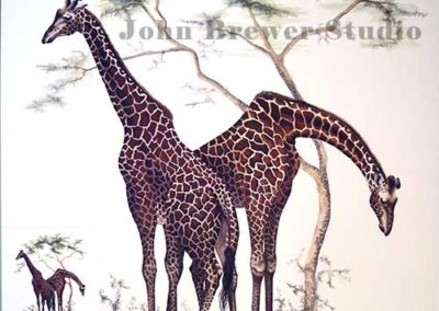 Giraffe by I.H. Farnsworth