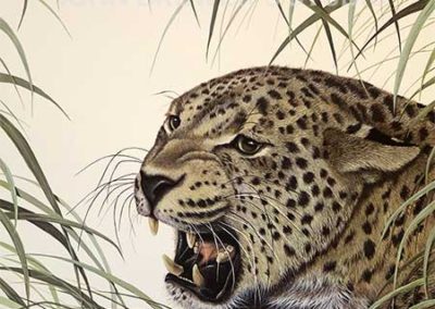 Persian Leopard by T.H. Farnsworth